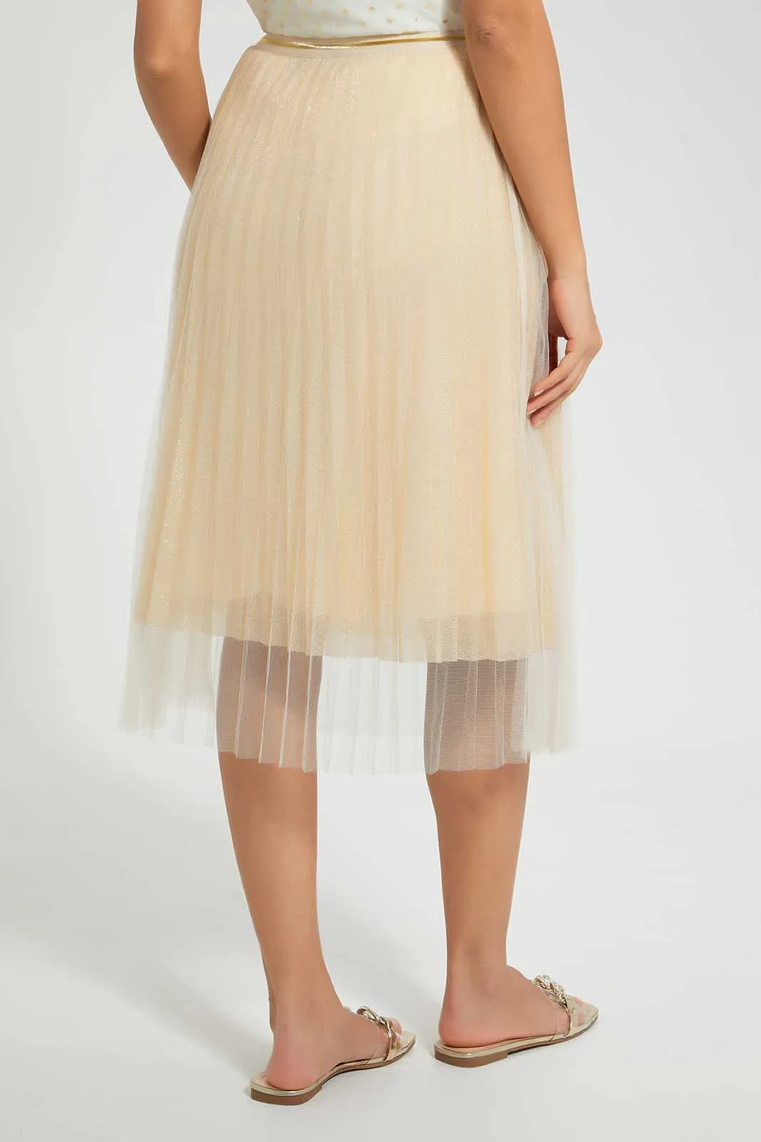 Gold Pleated Mesh Skirt