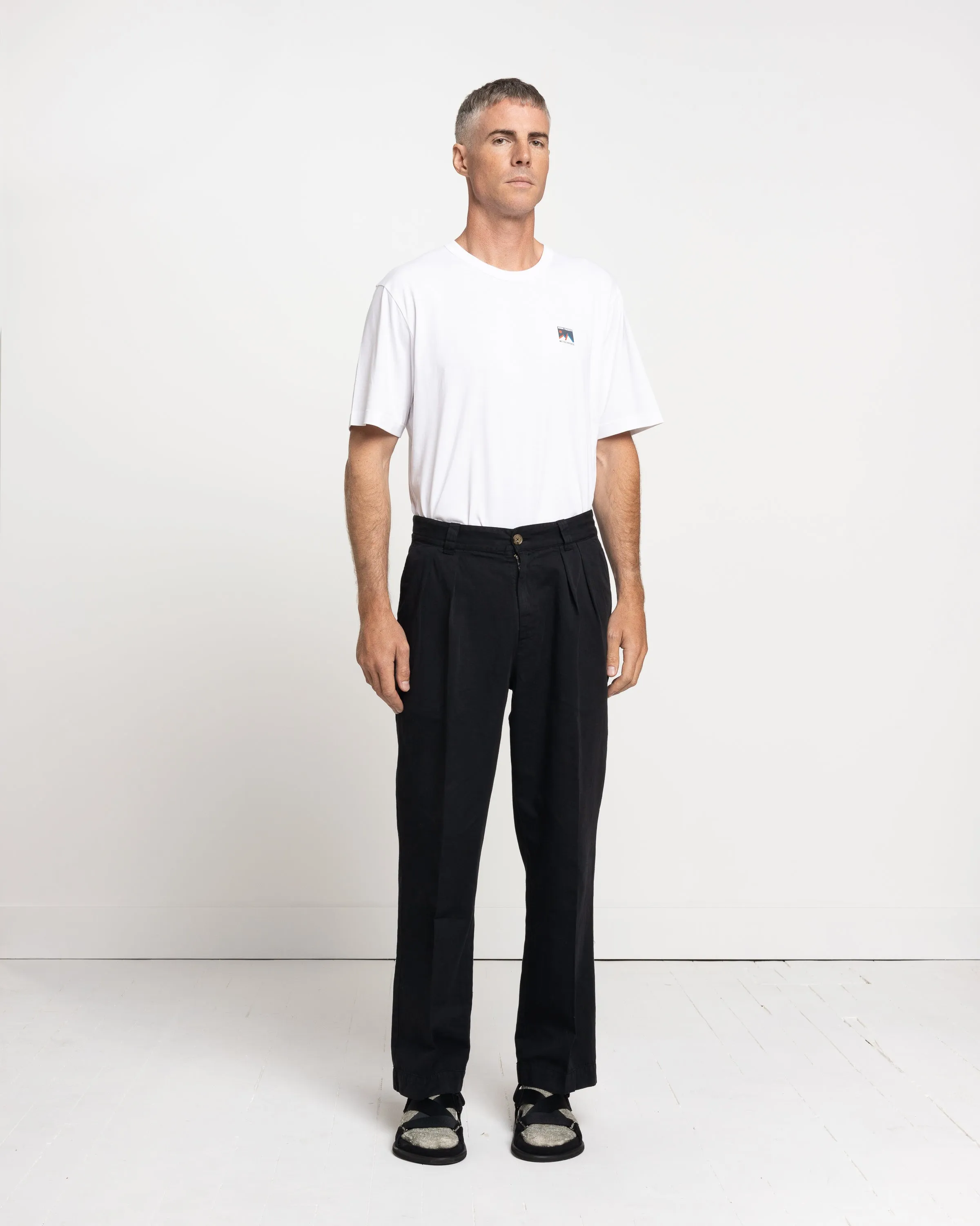 Linen Pleated Pants in Black