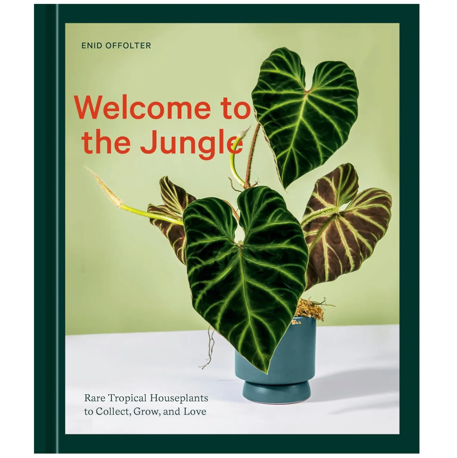 Welcome To The Jungle: Rare Tropical Plants To Collect, Grow   Love